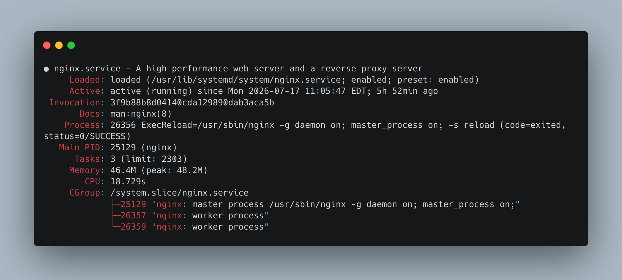 NGINX Check
